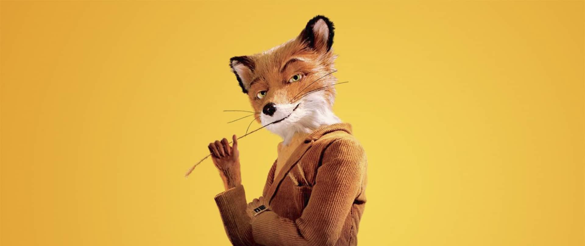 Mr. fox vest
