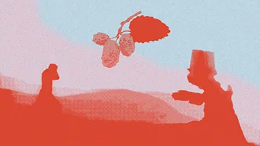 Promotions cover image